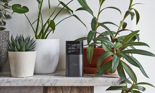 Medklinn Air + Surface Sterilizers Launching in the UK