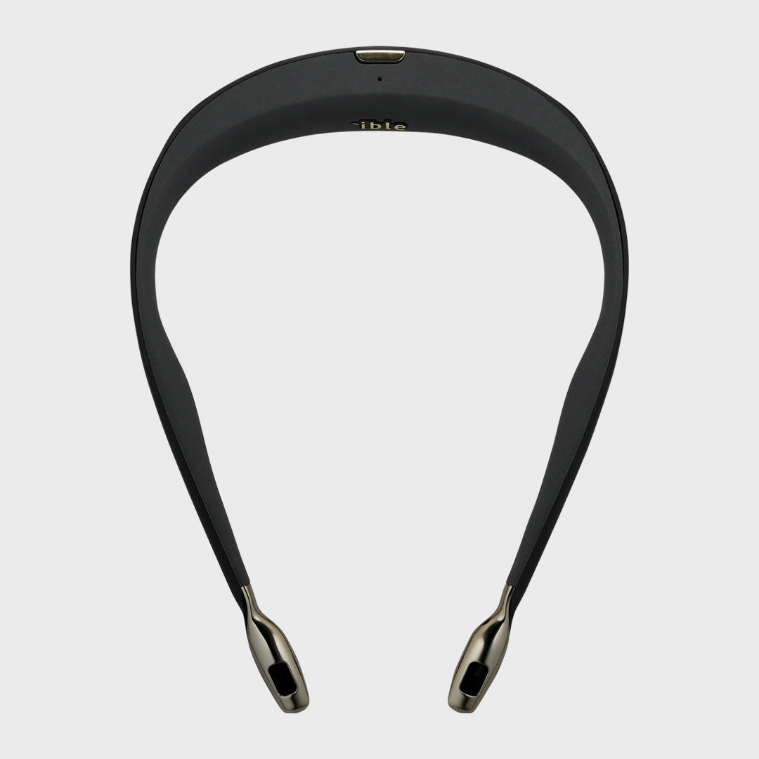 ible Airvida L1 Ion Wearable Air Purifier