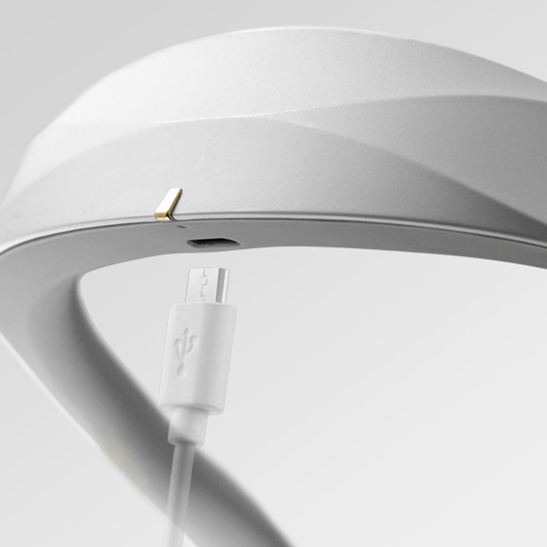 ible Airvida L1 Ion Wearable Air Purifier