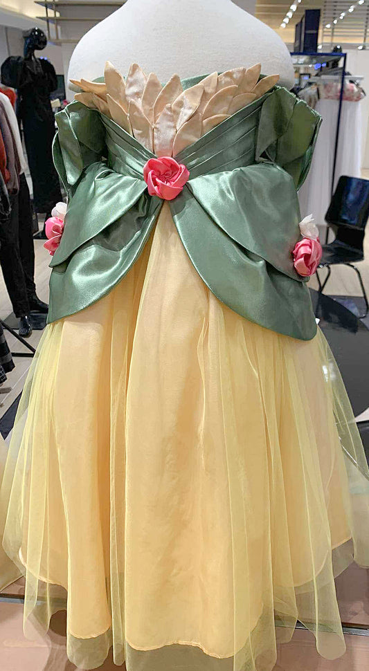 Green Satin, Yellow Soft Tulle on Top of Light Gold Taffeta Skirt Dress